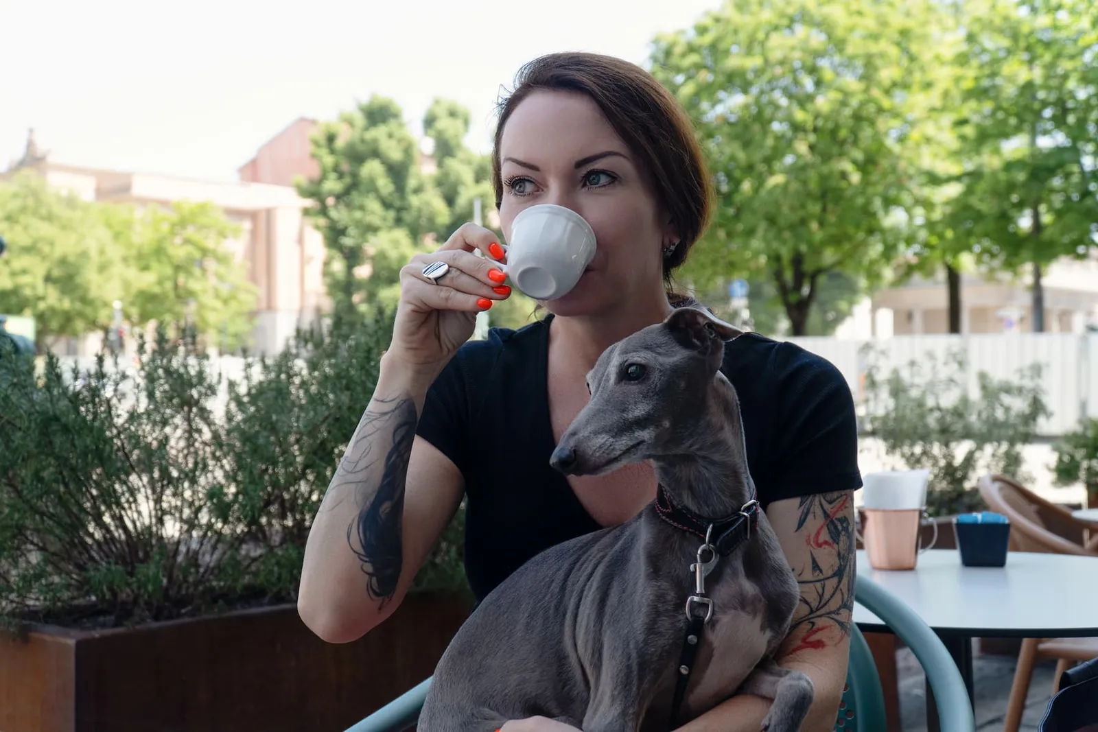 Dog with owner at an outdoor cafe